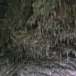 Ein rosa Farbton ist tatsächlich zu sehen