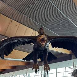 Wellington Airport - die Anspielung auf LotR ist durchaus vorhanden 😉