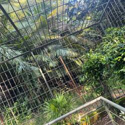 Hier ist der Käfig, in dem wir uns bewegen können 🙈