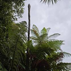 Huka Falls, Umgebung