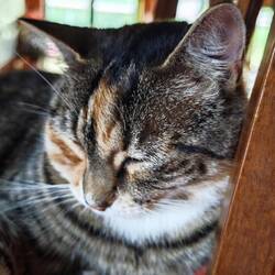 Wairakei Thermal Valley Campground