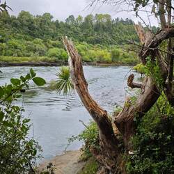 Huka Falls, Fluss aufwärts