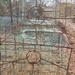 Da kommen unsere gestrigen Langusten her