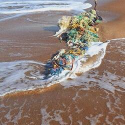 Strandkunst - aber leider auch Müll