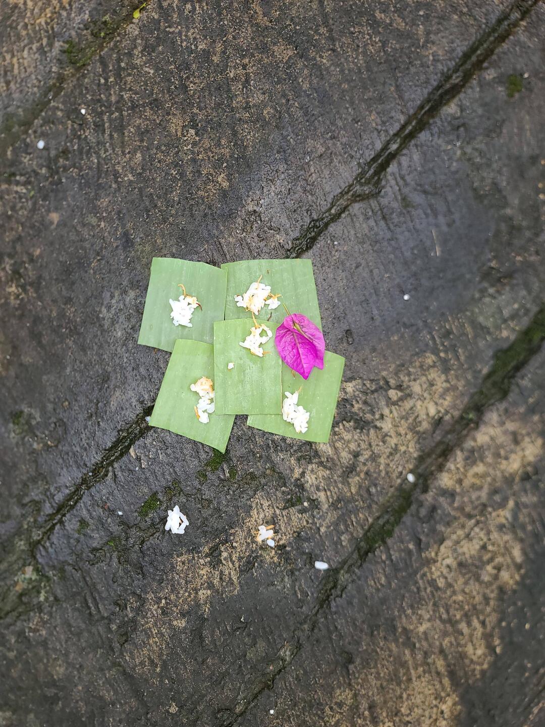 Das tägliche Leben...