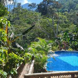 ... und auf den Pool