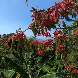 ... Aussichtspunkten....