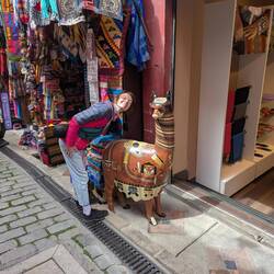 ... Mona zieht es natürlich zu den Alpakas 😉