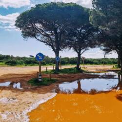 Kein Wasser in Andalusien? Von wegen🫢😄