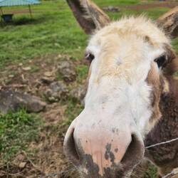 Hallo kleiner Freund