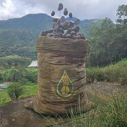 Und so wird der Kaffee von hier in die ganze Welt transportiert