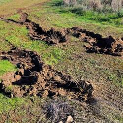 Das Schlachtfeld danach...
