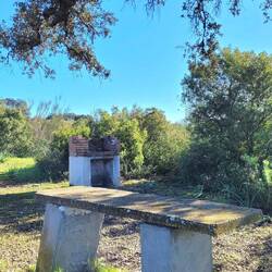 ...mit ganz vielen Grillstellen...