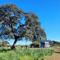 Morgenspaziergang 😊 in dieser tollen Area Recreaziona...