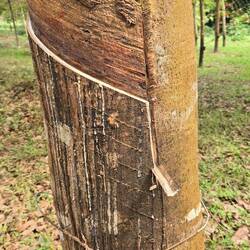 So sieht es dann professionell aus (so gesehen am Tag danach)