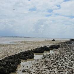 The roads were not on the beach, so we started walking the bikes on the beach