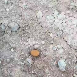 Das große Krabbeln (Pixar, 1998)