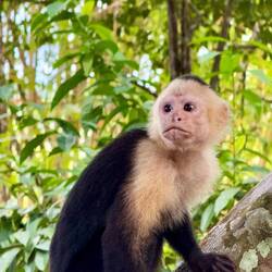 "-Kanske bäst att gömma sig"