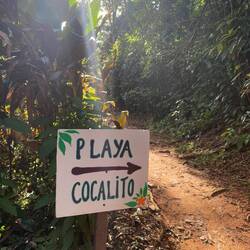 Det var en spännande promenad genom regnskogen för att komma till badstranden.