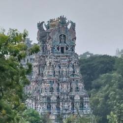 View into the complex from the roof of a tourist shop