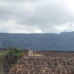 Table Mountain