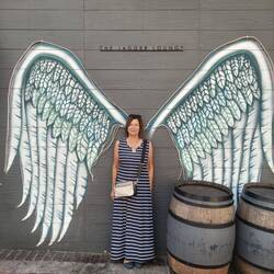 Angelic Colleen 🤣