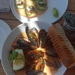 Plate of yummy mussels and seared tuna on a taco base