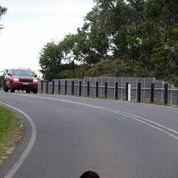 Ich bremse auch für Ameisenigel