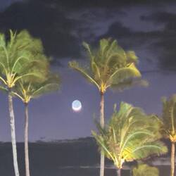 19 Uhr 22 Es hat etwas getröpfelt 💦 Statt Wolken und Blitzen ist der Mond zu sehen 🌙