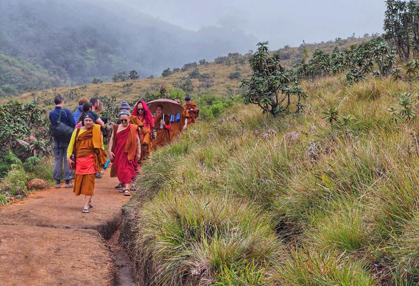 Thailändische Mönche in den Horton Plains 😊