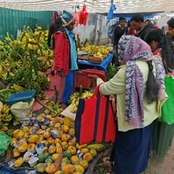 Mango, Papaya...
