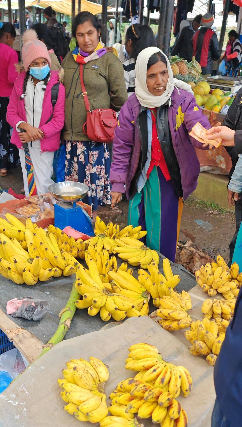 Einzelne oder ganze Stauden von Bananen 🍌