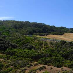 Great Ocean Road (243 km)
