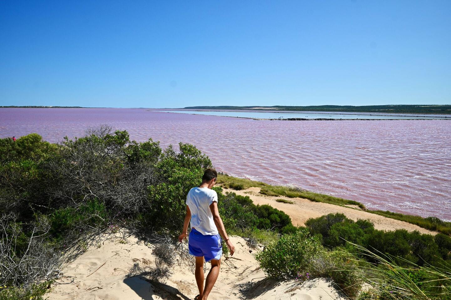 Pink Lake