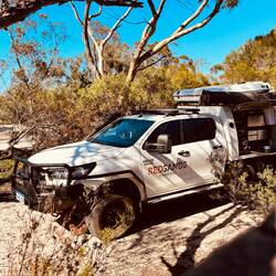 Kuschliger Platz für Rose...