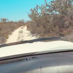 Hoffentlich kommt da kein Gegenverkehr...