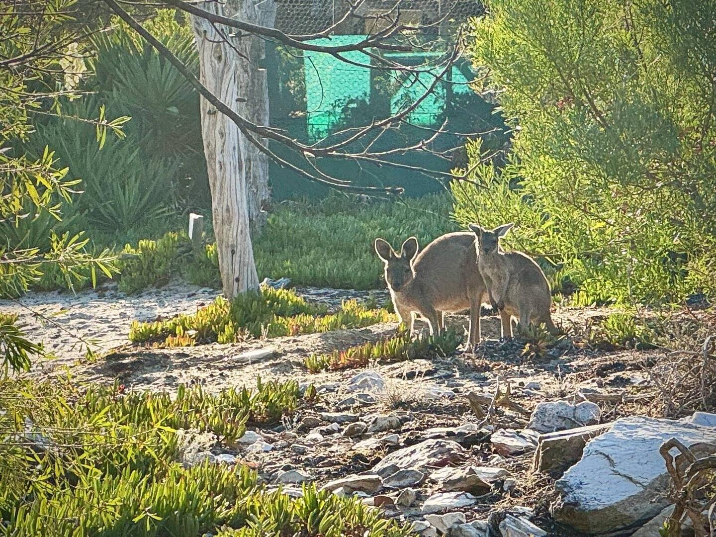 Begrüßung im Widerness Retreat