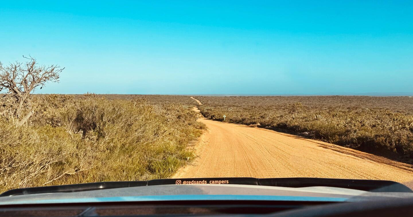 Weiter geht's durch den Busch...