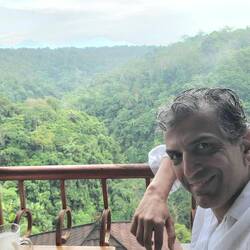 Zum letzten Mal der Blick in den Dschungel von Bali