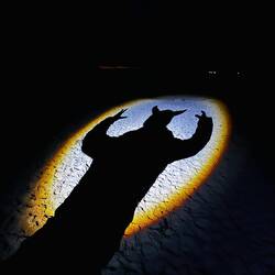 Batman ist raus, Hörnman ist hier!!!