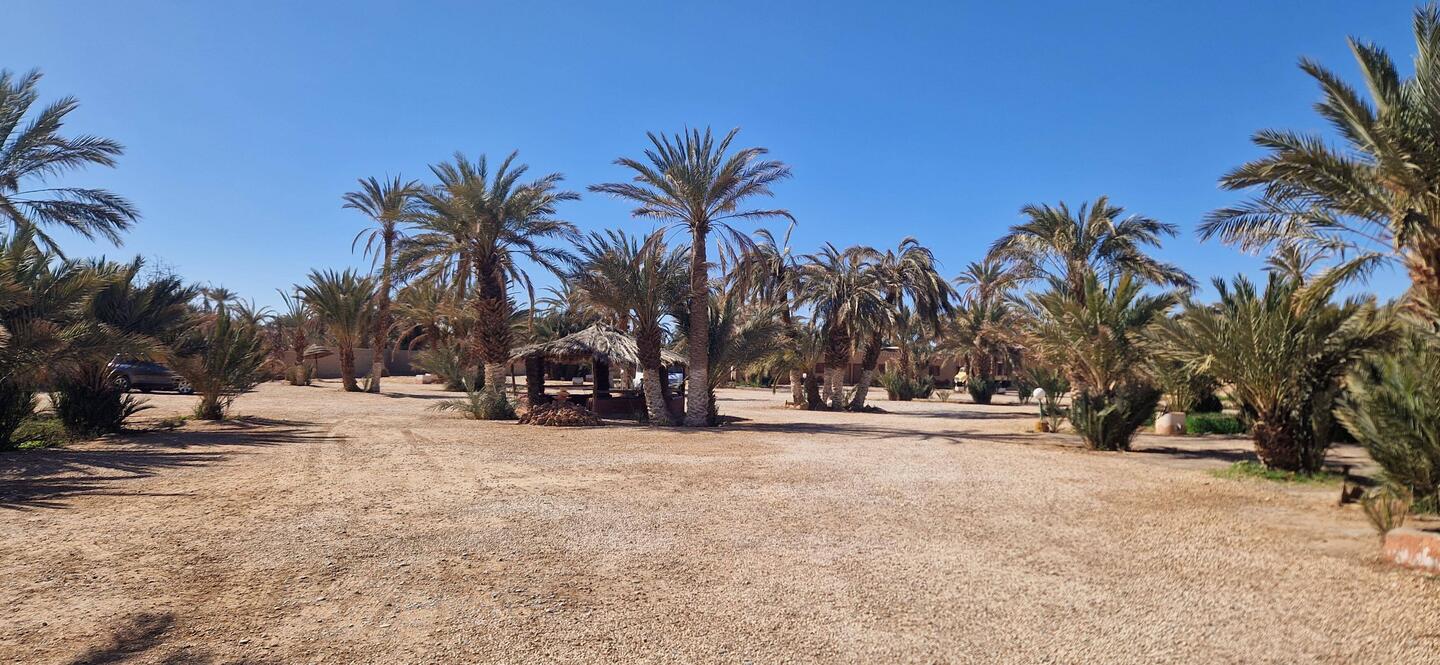 Schöner Camping für eine Nacht