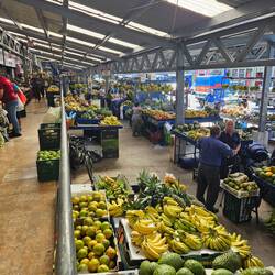 Der Markt von Cartago, wo es für mich Pollo und Mandarinen gab