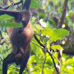 Plocka mat upp och ned går också bra!