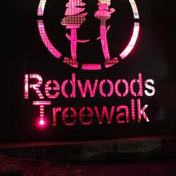 Redwoods Treewalk