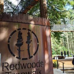 Redwoods Treewalk