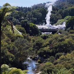 Te Puia / Pohutu Geyser