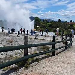 Pohutu Geyser