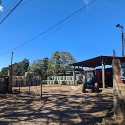 Farms