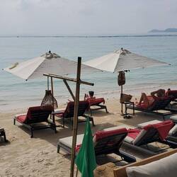 Two rows of chairs on the beach today!