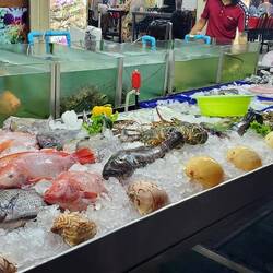 The seafood options for dinner at Mit Samui!